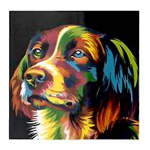 Paint by Number 40 x 40cm - Black